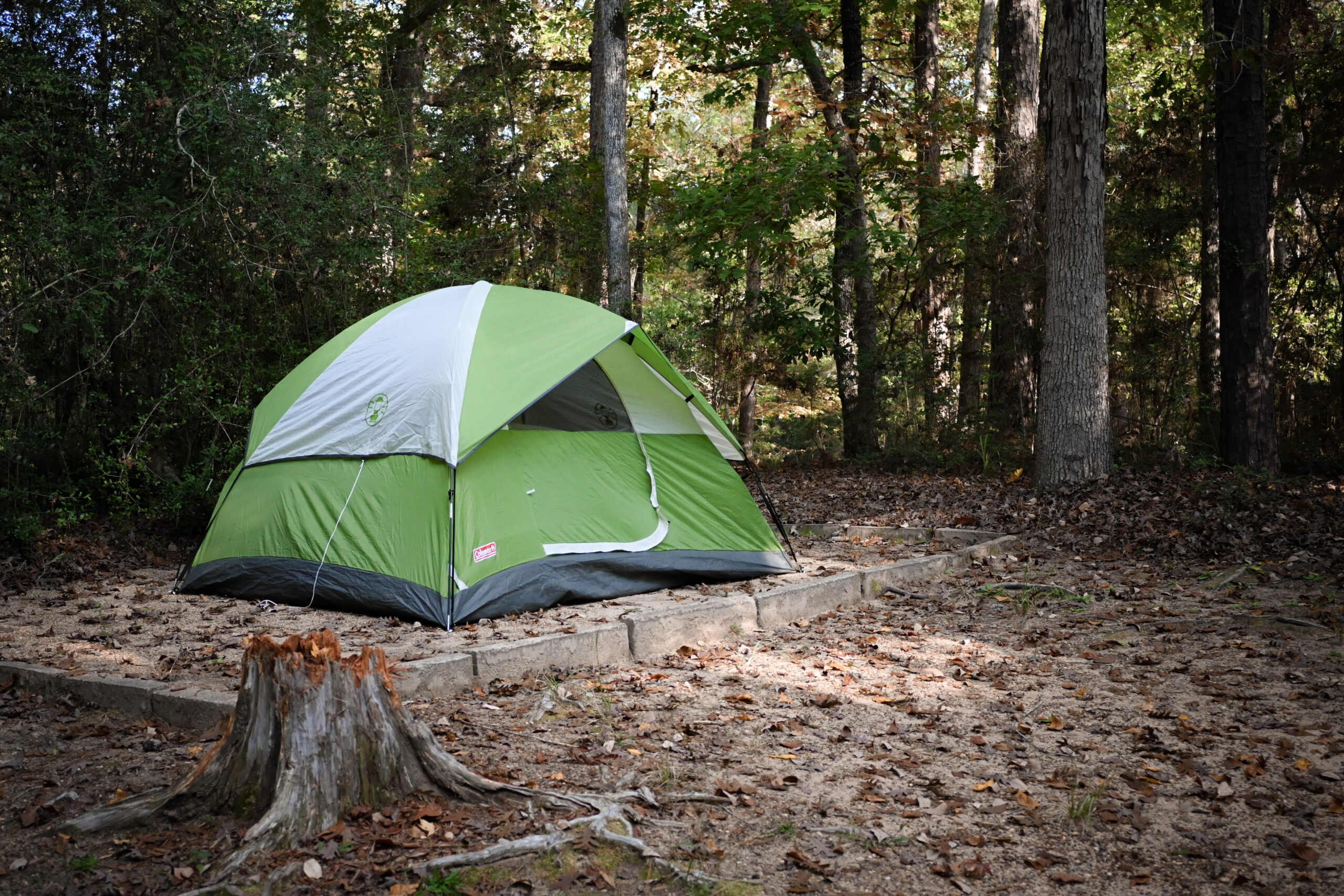 tent set up in woods for weekend getaway camping trip